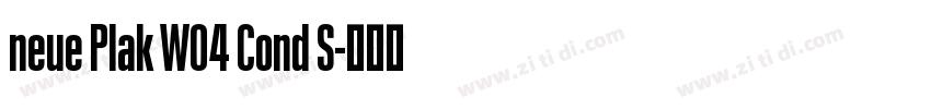 neue Plak W04 Cond S字体转换